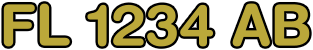 FL 1234 AB