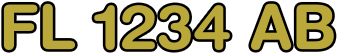 FL 1234 AB