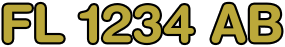 FL 1234 AB
